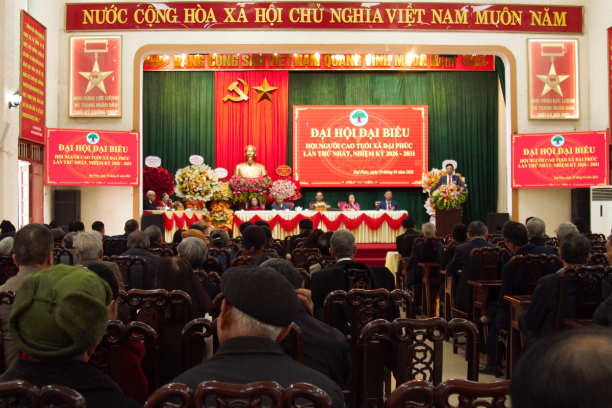 Kiện toàn tổ chức Hội NCT sau sáp nhập chính quyền địa phương hai cấp