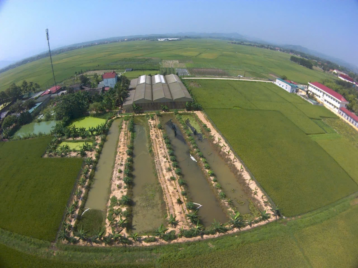 Nhiều mô hình kinh tế ở Thăng Bình đang được đầu tư phát triển