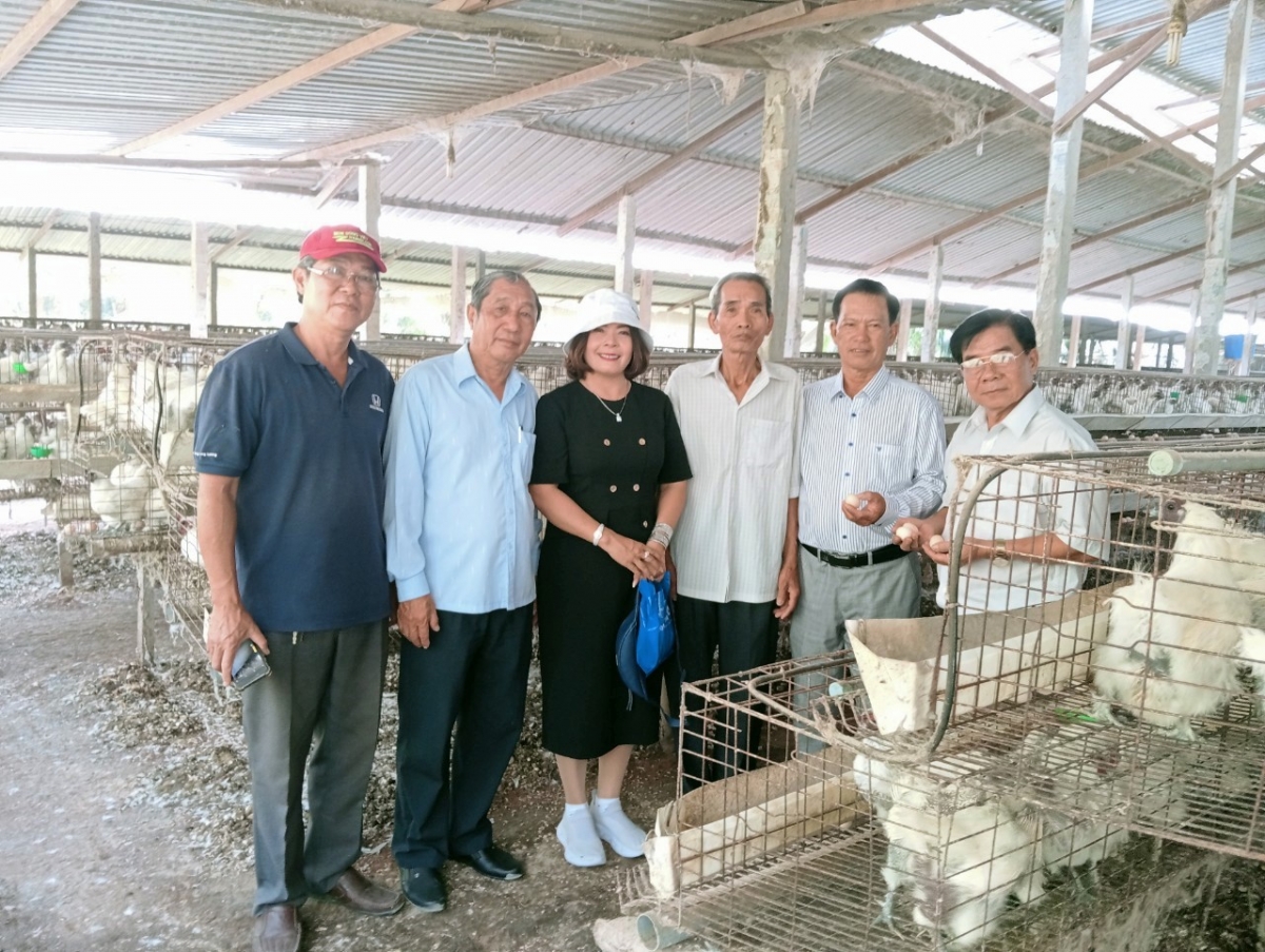 Lãnh đạo Hội NCT tỉnh Đồng Tháp thăm mô hình của ông Cao Văn Hoàng