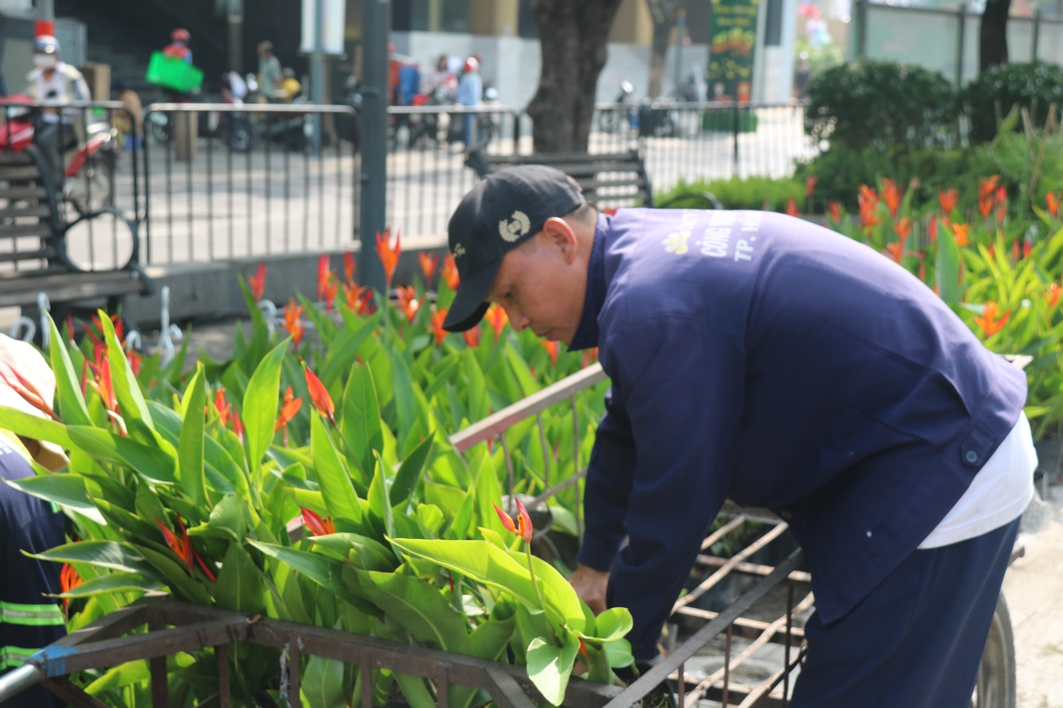 Đường hoa Nguyễn Huệ gấp rút hoàn thiện, sẵn sàng khai trương đón Tết Bính Ngọ 2026