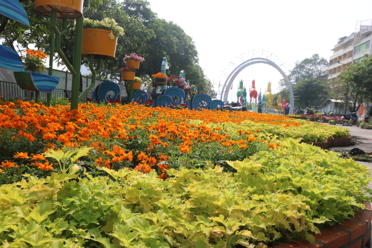 Đường hoa Nguyễn Huệ gấp rút hoàn thiện, sẵn sàng khai trương đón Tết Bính Ngọ 2026