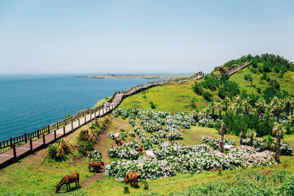 Vẻ đẹp đảo Jeju