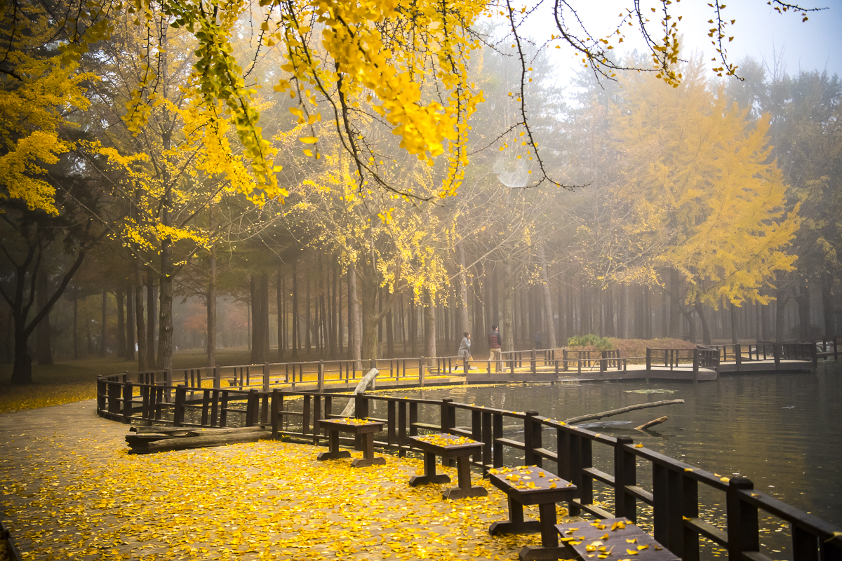 Đảo Nami nổi tiếng sau “Bản tình ca mùa đông”