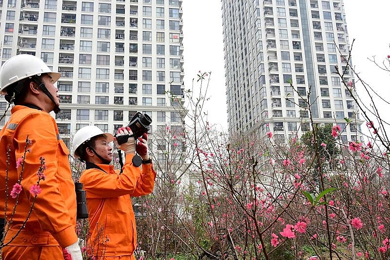 Cán bộ, nhân viên EVN tăng cường công tác kiểm tra điện trong Tết.