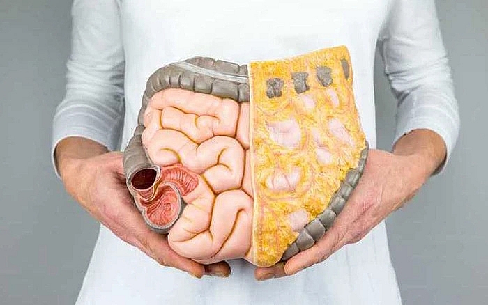 Tiêu hoá khoẻ - Gốc rễ của trường thọ