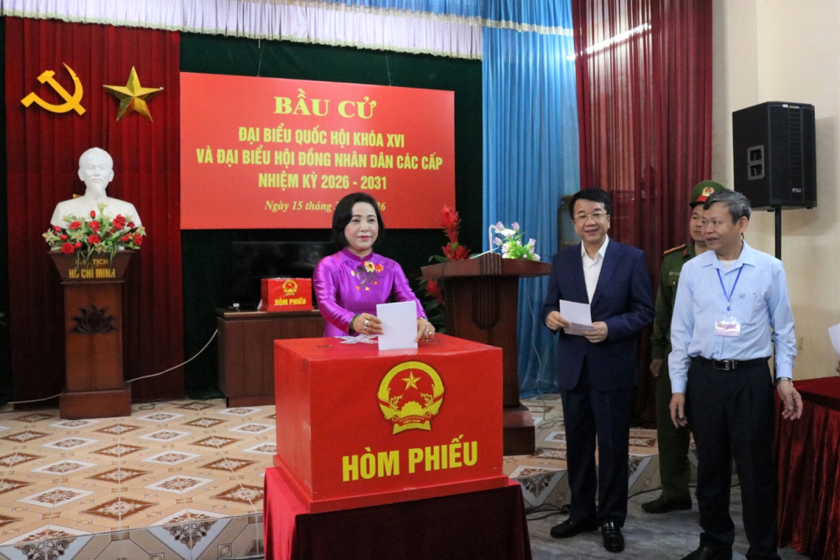 Ninh Bình: Hơn 3 triệu cử tri nô nức đi bỏ phiếu