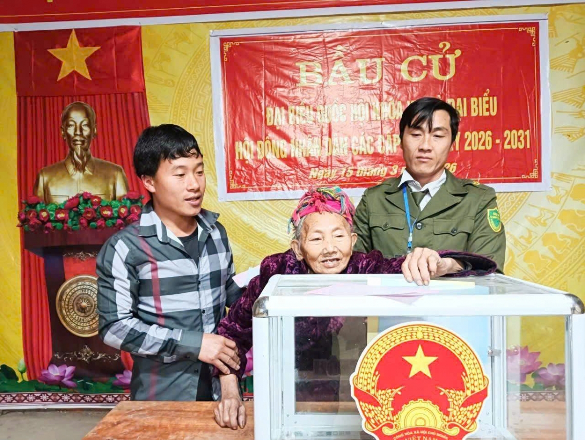 Lào Cai: Tỷ lệ cử tri đi bầu đạt 99,998%