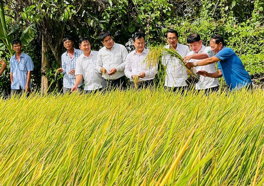 Người cao tuổi tiên phong làm nông nghiệp xanh