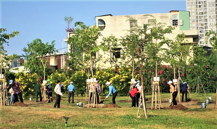 Người cao tuổi sẵn sàng Ngày hội trồng cây, gieo mầm xanh cho tương lai