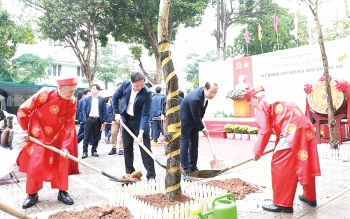 Người cao tuổi phải hăng hái, đi đầu trong trồng cây, bảo vệ môi trường