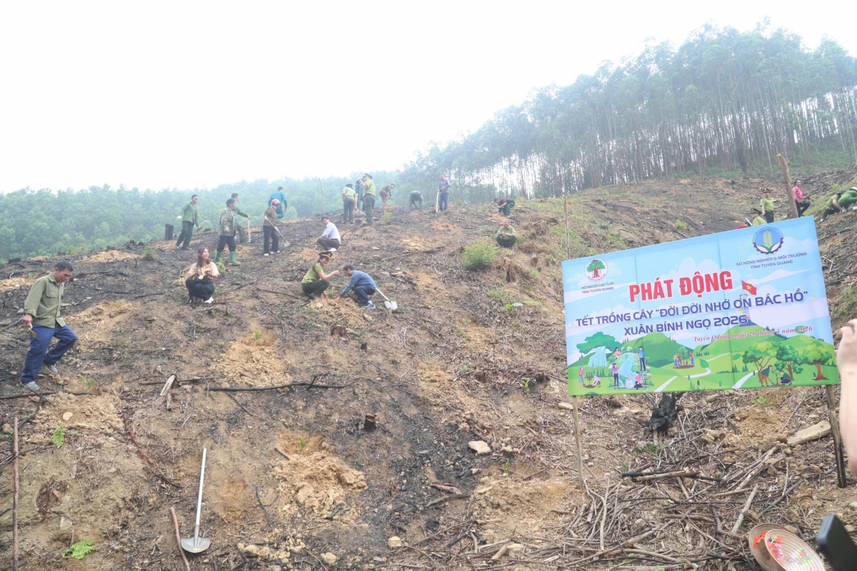 Quang cảnh Ngày hội NCT hưởng ứng phát động trồng cây Nhớ ơn Bác Hồ tại tỉnh Tuyên Quang