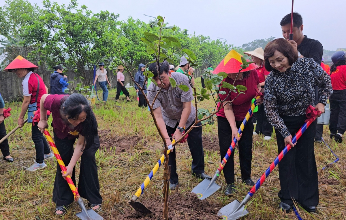 Các đại biểu tham gia trồng cây tại Lễ phát động