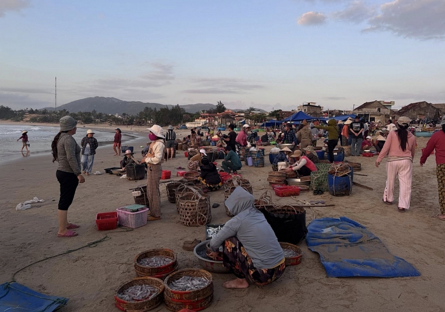 Làng chài ấy từng trù phú sung túc bên mép biển