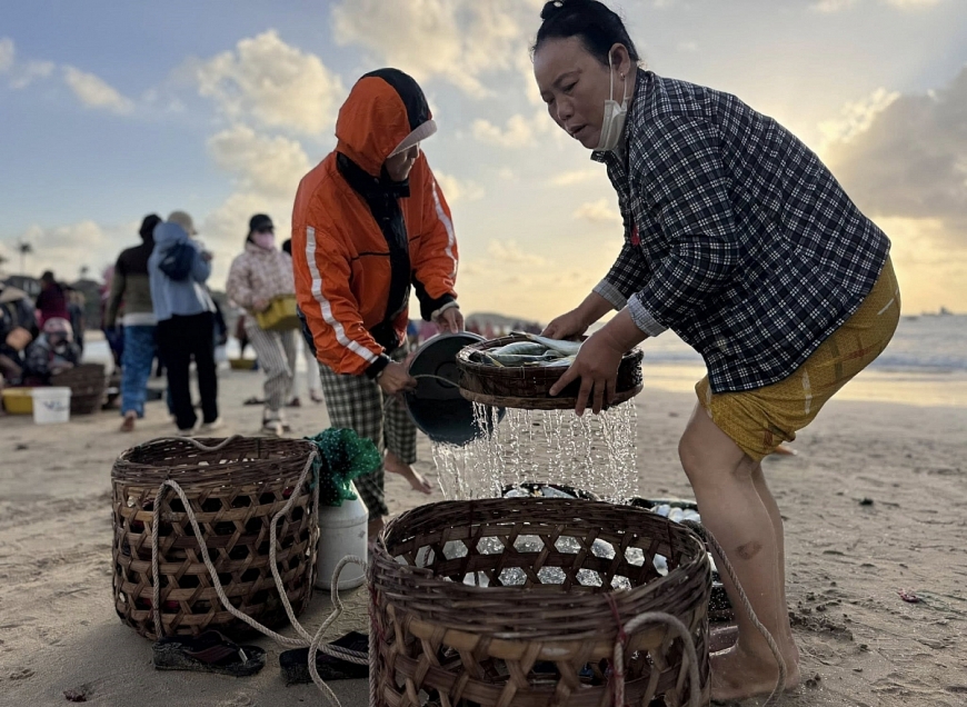 Làng chài ấy từng trù phú sung túc bên mép biển