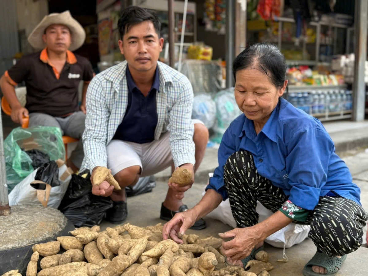 Nhiều người dân đã đến mua khoai giúp bà Xuân