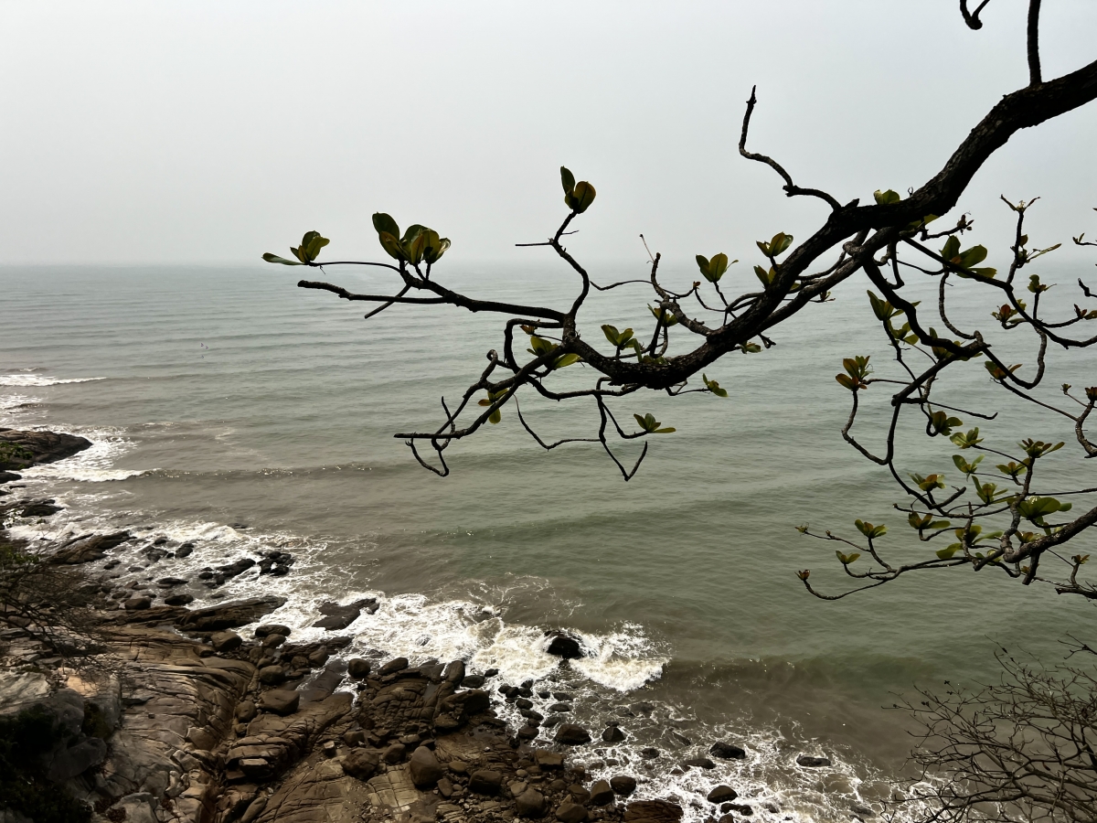 Bãi đá Ngọc tại biển Sầm Sơn - góc nhìn từ trên đền Cô Tiên