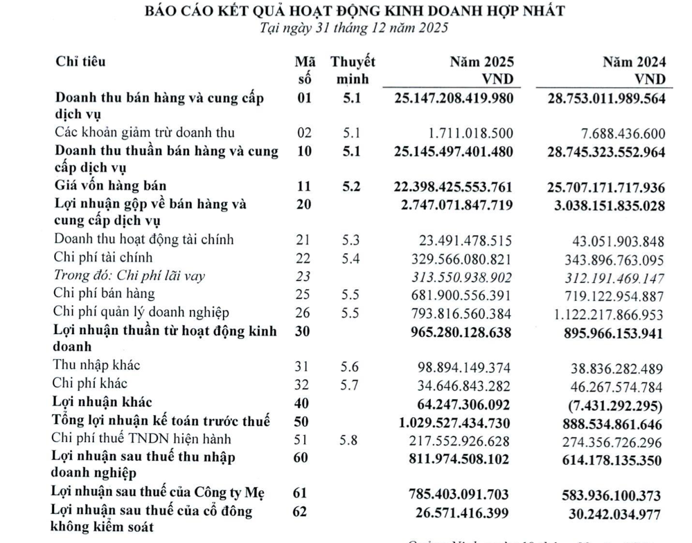 Tổng Công ty Đông Bắc vi phạm liên quan đến trái phiếu