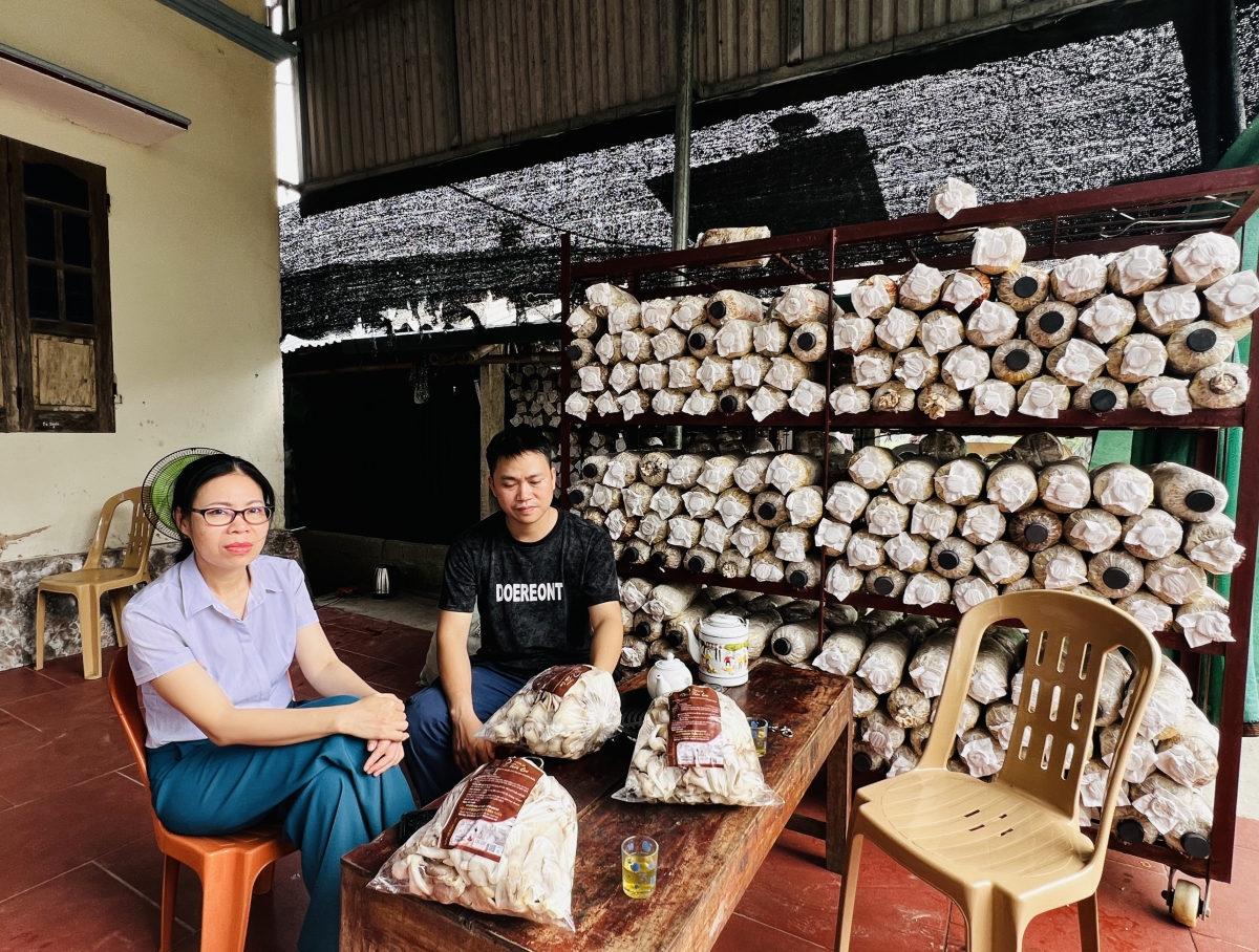 Anh Trần Văn Tuấn (người áo đen) chia sẻ về kinh nghiệm trồng nấm sò