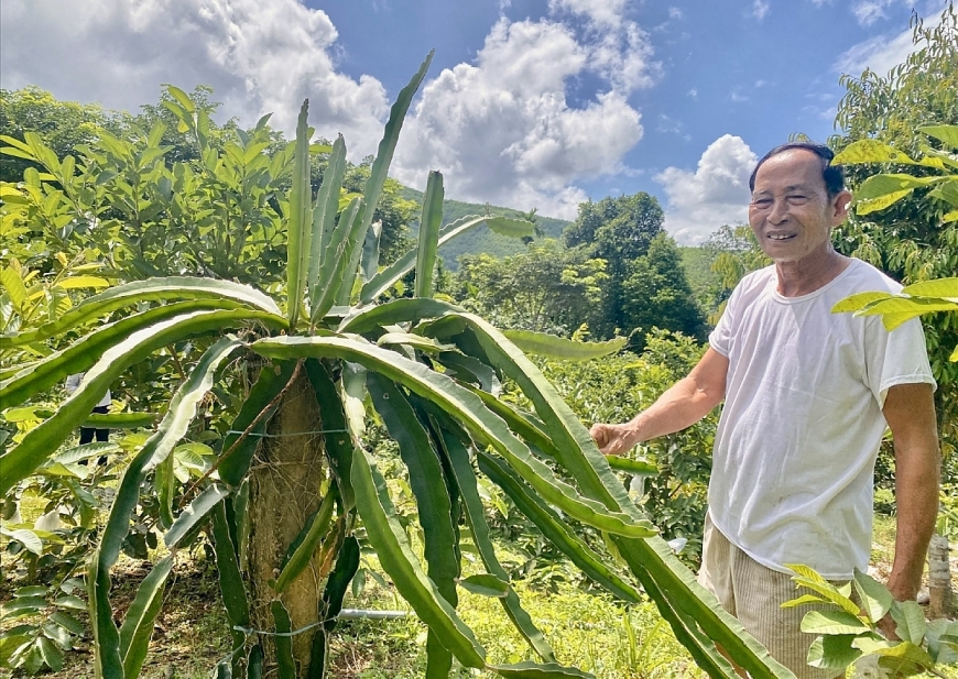 Ông Đinh Văn Hiên đã mạnh dạn chuyển đổi cây trồng, kết hợp chăn nuôi mang lại thu nhập trên 400 triệu đồng mỗi năm.