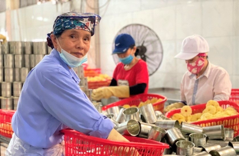 Nhiều NCT vẫn tích cực tham gia thị trường lao động