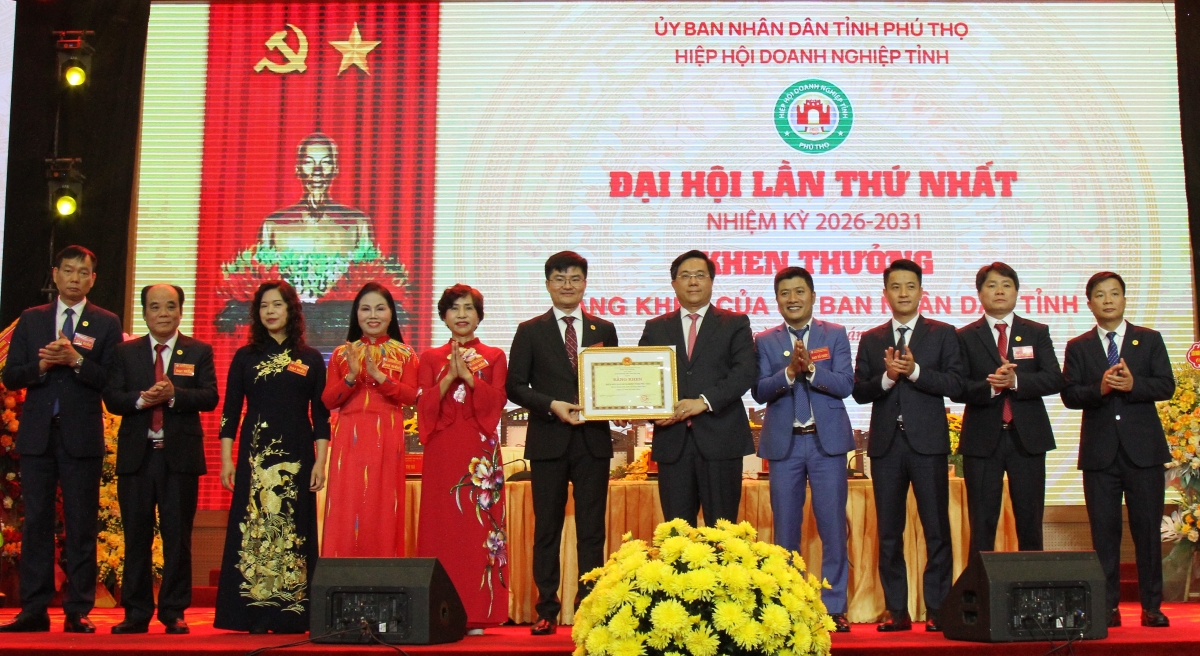 Đồng chí Chủ tịch UBND tỉnh Trần Duy Đông trao Bằng khen tặng Hiệp hội Doanh nghiệp tỉnh.