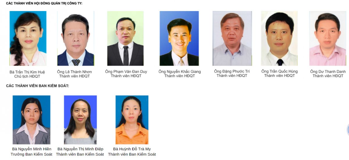 Công ty thành viên của Tổng Công ty Địa ốc Sài Gòn vướng loạt vi phạm