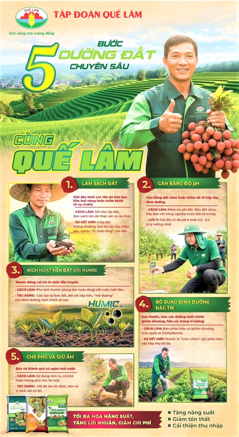 Hướng dẫn kỹ thuật dưỡng đất chuyên sâu từ Tập đoàn Quế Lâm