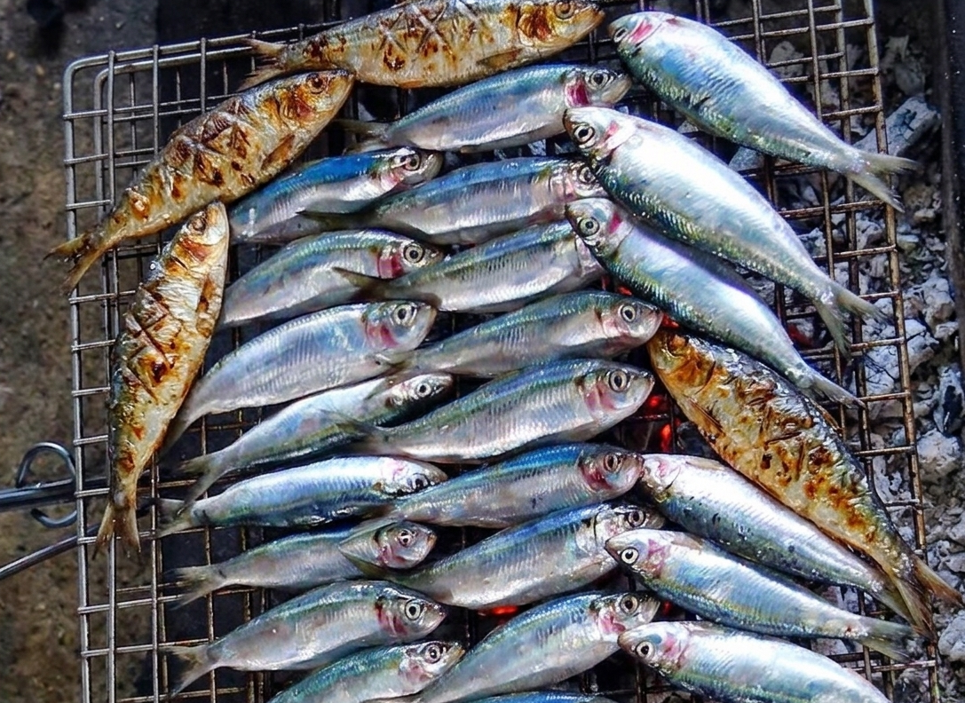 Về Nghệ An ăn cá trích nướng than