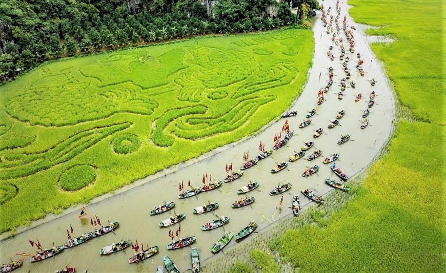 Cánh đồng lúa phục vụ du lịch - một sản phẩm của ThaibinhSeed  do doanh nhân cao tuổi Trần Mạnh Báo làm Chủ tịch
