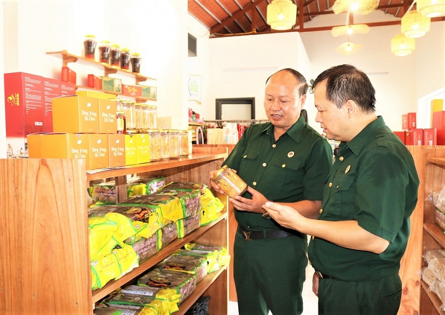 Doanh nhân, cựu chiến binh Hoàng Mạnh Ngọc nghiên cứu và phát triển mô hình nuôi cấy nấm đông trùng hạ thảo.