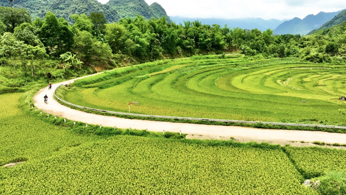 Ruộng bậc thang uốn cong hình chữ S tại Pù Luông