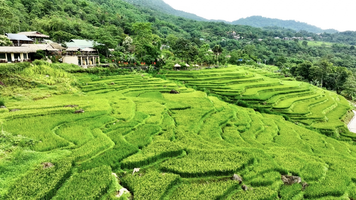 Pù Luông - một “Sa Pa xứ Thanh” ẩn mình giữa đại ngàn hùng vĩ