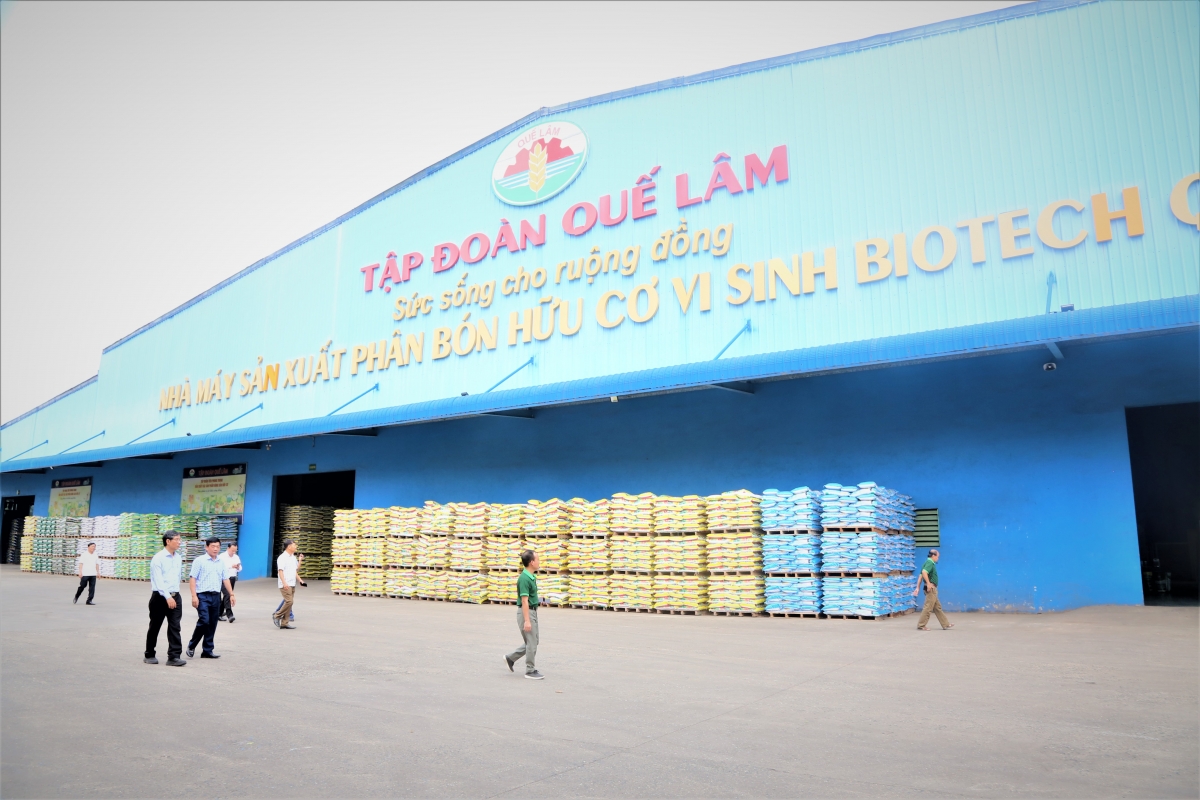 Người cao tuổi khơi dậy “mùa vàng”  từ nông nghiệp hữu cơ