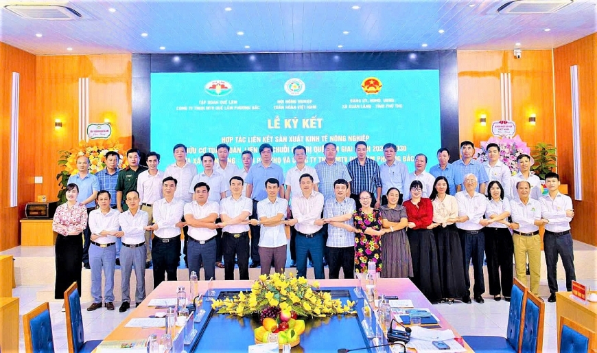 Tập đoàn Quế Lâm và xã Xuân Lãng (Phú Thọ) ký kết phối hợp liên kết sản xuất kinh tế nông nghiệp hữu cơ, tuần hoàn.