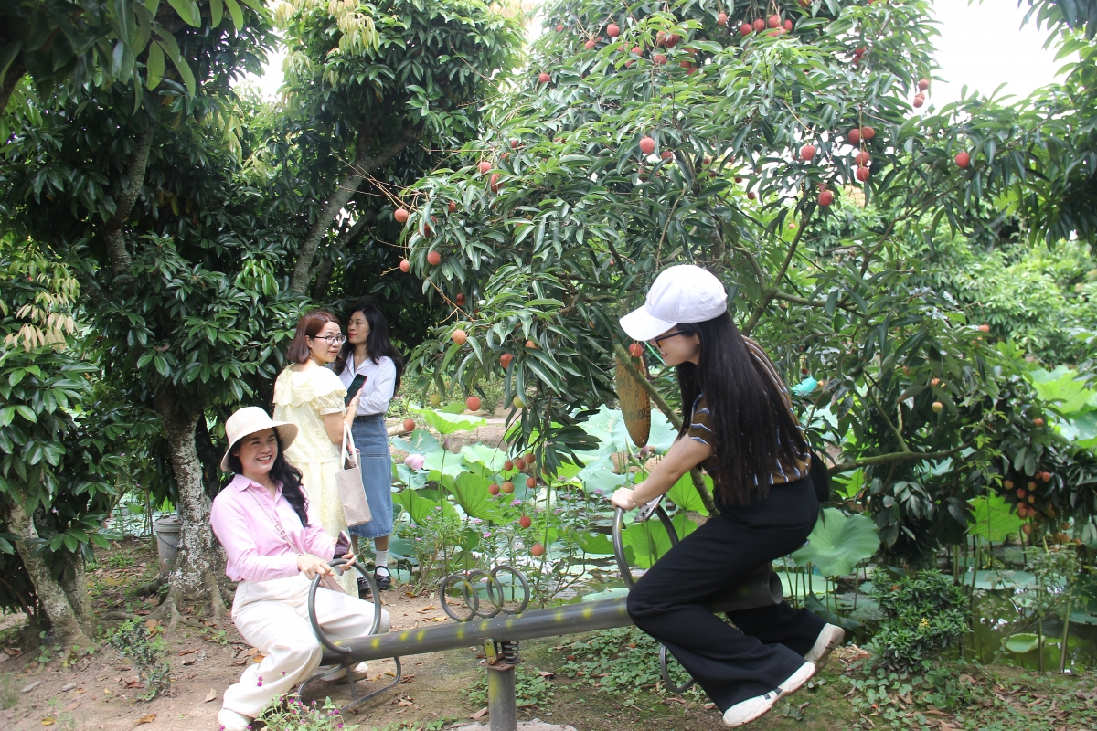 Du khách thích thú khi được trải nghiệm vui chơi tại vườn vải.