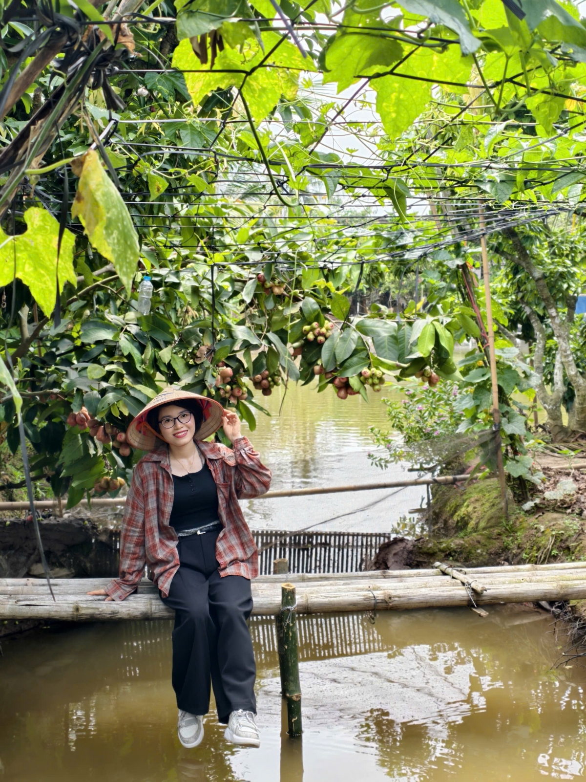 Hải Phòng kỳ vọng tạo dấu ấn du lịch trải nghiệm từ mùa vải chín xứ Đông