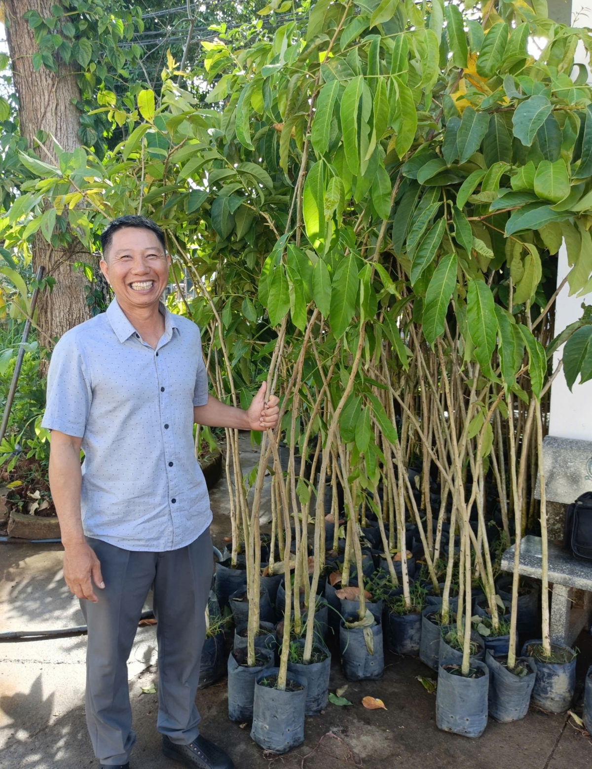 Ông Võ Tấn Cường, Trường thôn Kim Châu chia sẻ.