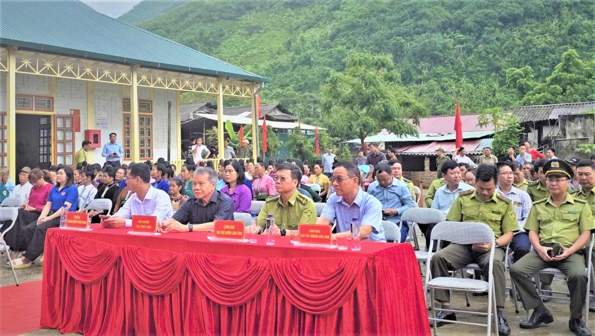 Các đại biểu tham dự chương trình