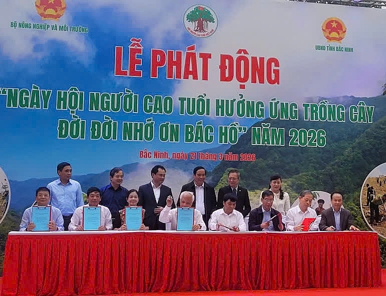 Lan tỏa phong trào trồng cây, góp phần bảo vệ môi trường