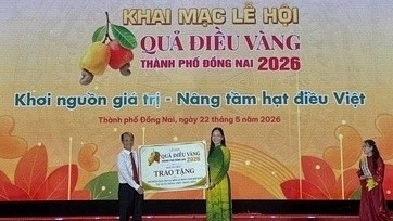 Lễ hội Quả Điều Vàng 2026 quảng bá hạt điều Việt Nam