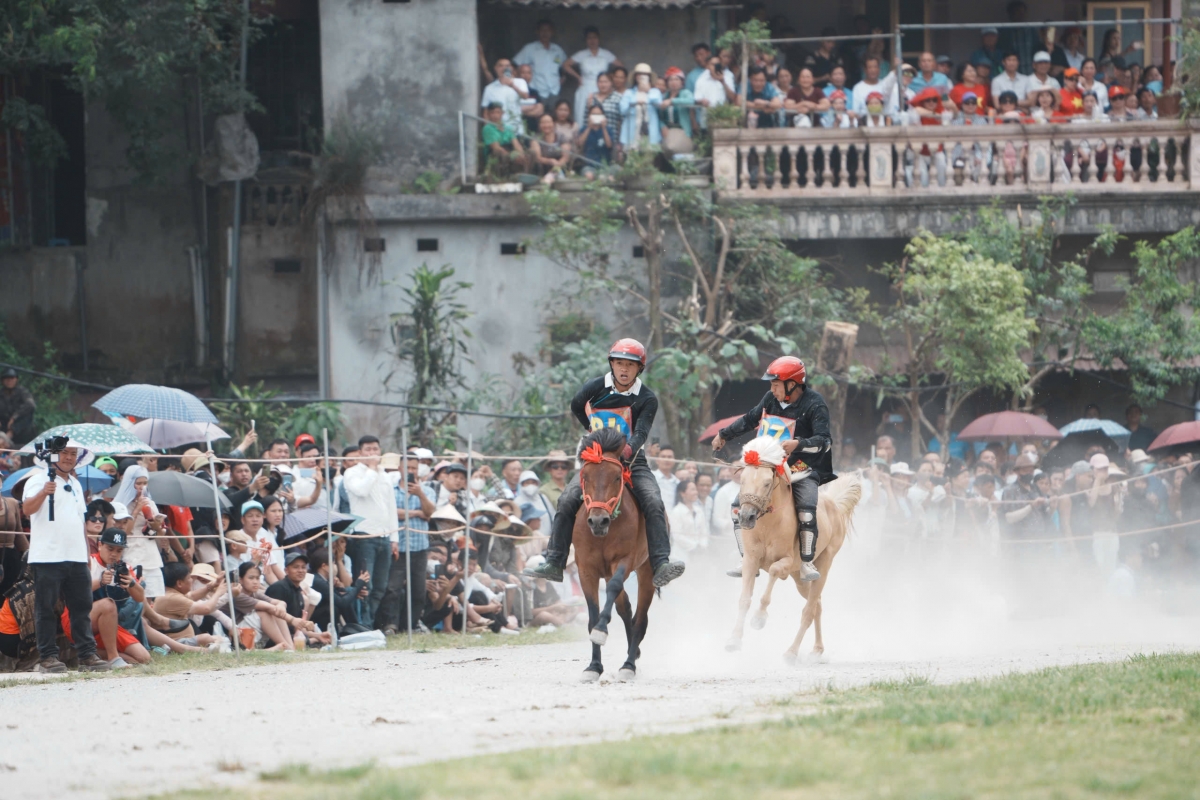 Khai mạc Festival Cao nguyên trắng Bắc Hà 2026 với chủ đề “Vang xa vó ngựa cao nguyên”