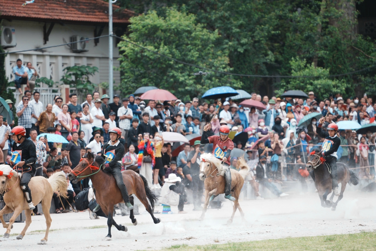 Khai mạc Festival Cao nguyên trắng Bắc Hà 2026 với chủ đề “Vang xa vó ngựa cao nguyên”