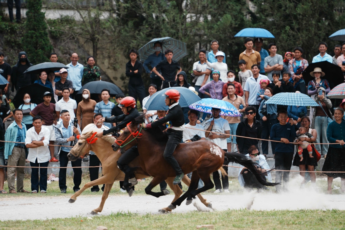 Khai mạc Festival Cao nguyên trắng Bắc Hà 2026 với chủ đề “Vang xa vó ngựa cao nguyên”