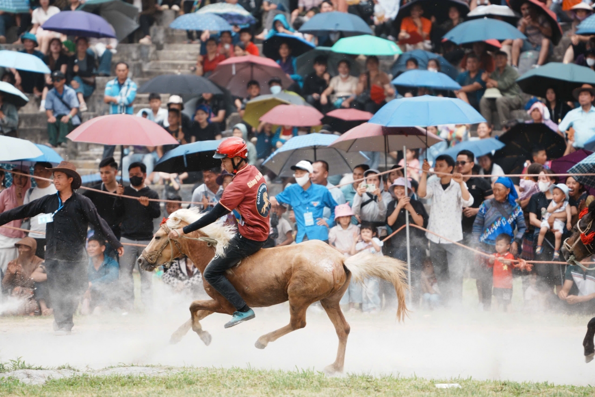 Khai mạc Festival Cao nguyên trắng Bắc Hà 2026 với chủ đề “Vang xa vó ngựa cao nguyên”
