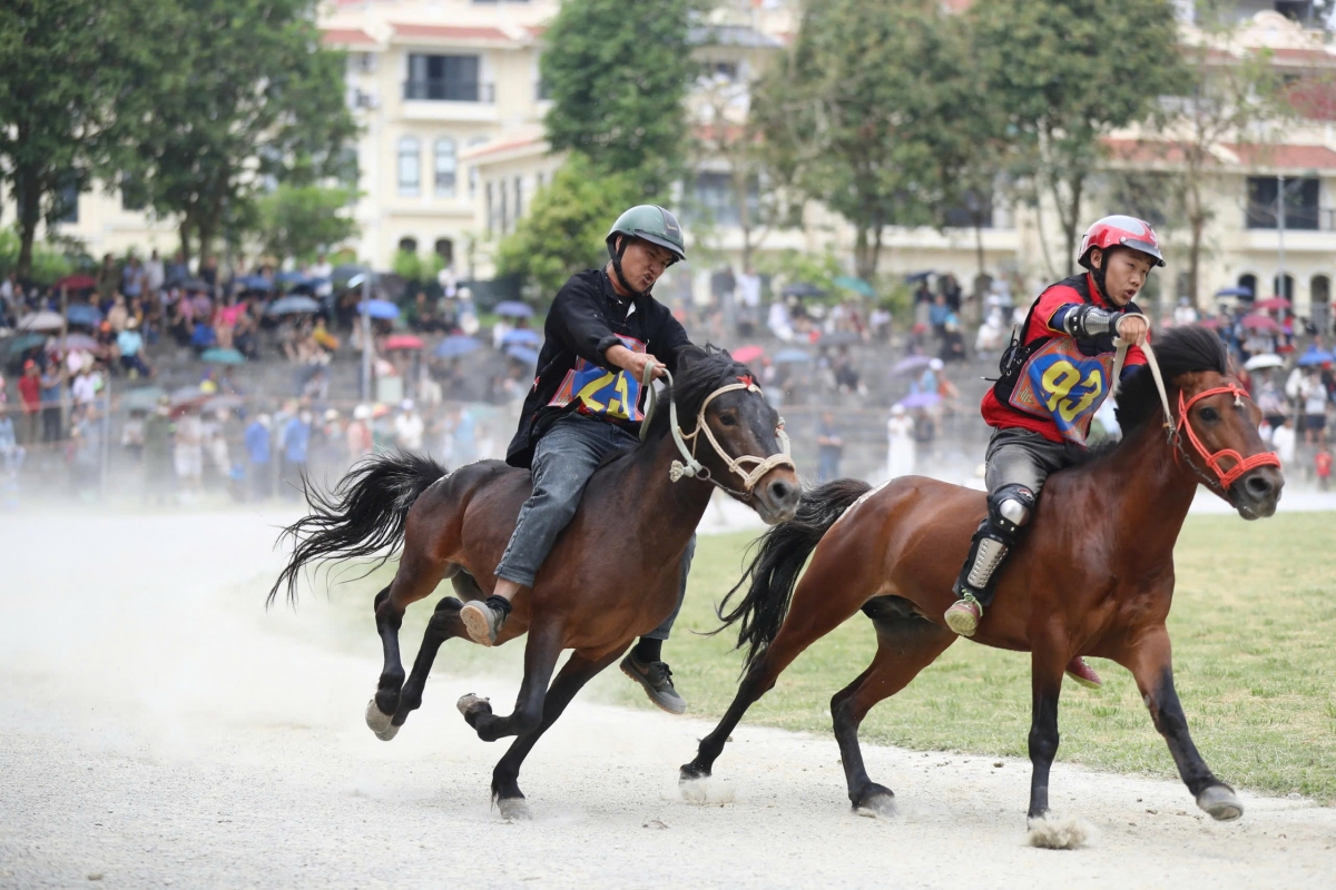 Khai mạc Festival Cao nguyên trắng Bắc Hà 2026 với chủ đề “Vang xa vó ngựa cao nguyên”