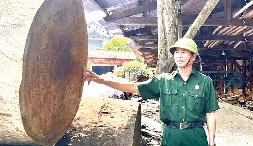 Cựu chiến binh cao tuổi làm giàu từ ý chí và nghị lực