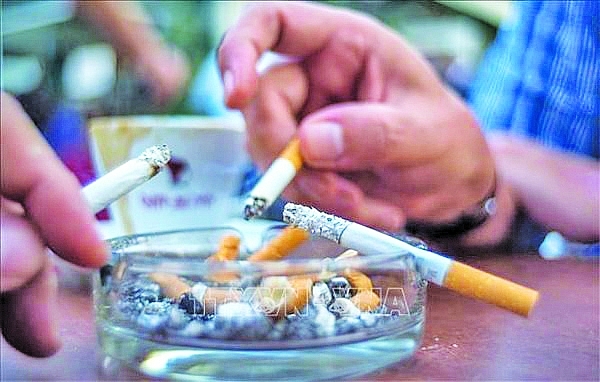 Hút thuốc lá làm giảm hấp thu canxi và đẩy nhanh quá trình loãng xương.