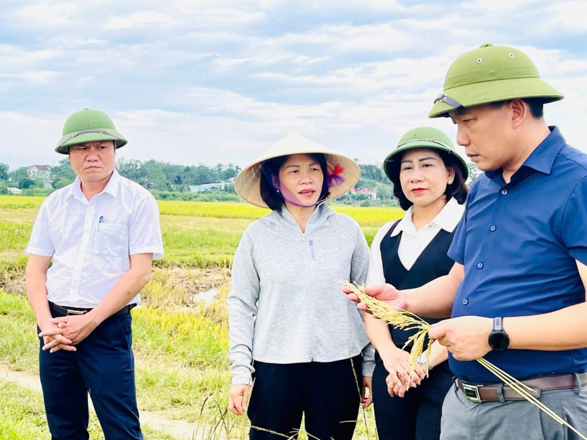 Việc ứng dụng công nghệ vào sản xuất nông nghiệp tại Nghĩa Đồng đã cho thấy sự hiệu quả, nâng cao năng suất.