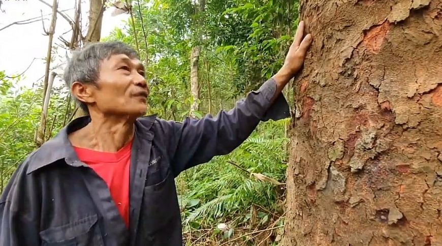 Chuyện người biến đất cằn thành rừng xanh bền vững