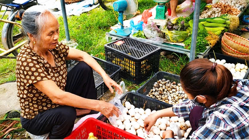 Những quả trứng gà, vịt hay con giống cũng được mang ra chợ